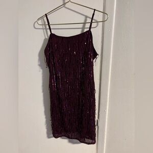 Trixxi Plum Sequin Fringe Mini Dress Spaghetti Strap Party Women’s M
(392)